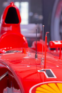 爱游戏中国官方网站平台-全国青少年旱地冰球锦标赛在哈尔滨精彩展开，旱地冰球比赛时间