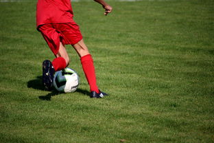 爱游戏登录入口-意甲裁判语义分析系统在比赛判罚中的应用研究，意甲第三轮裁判