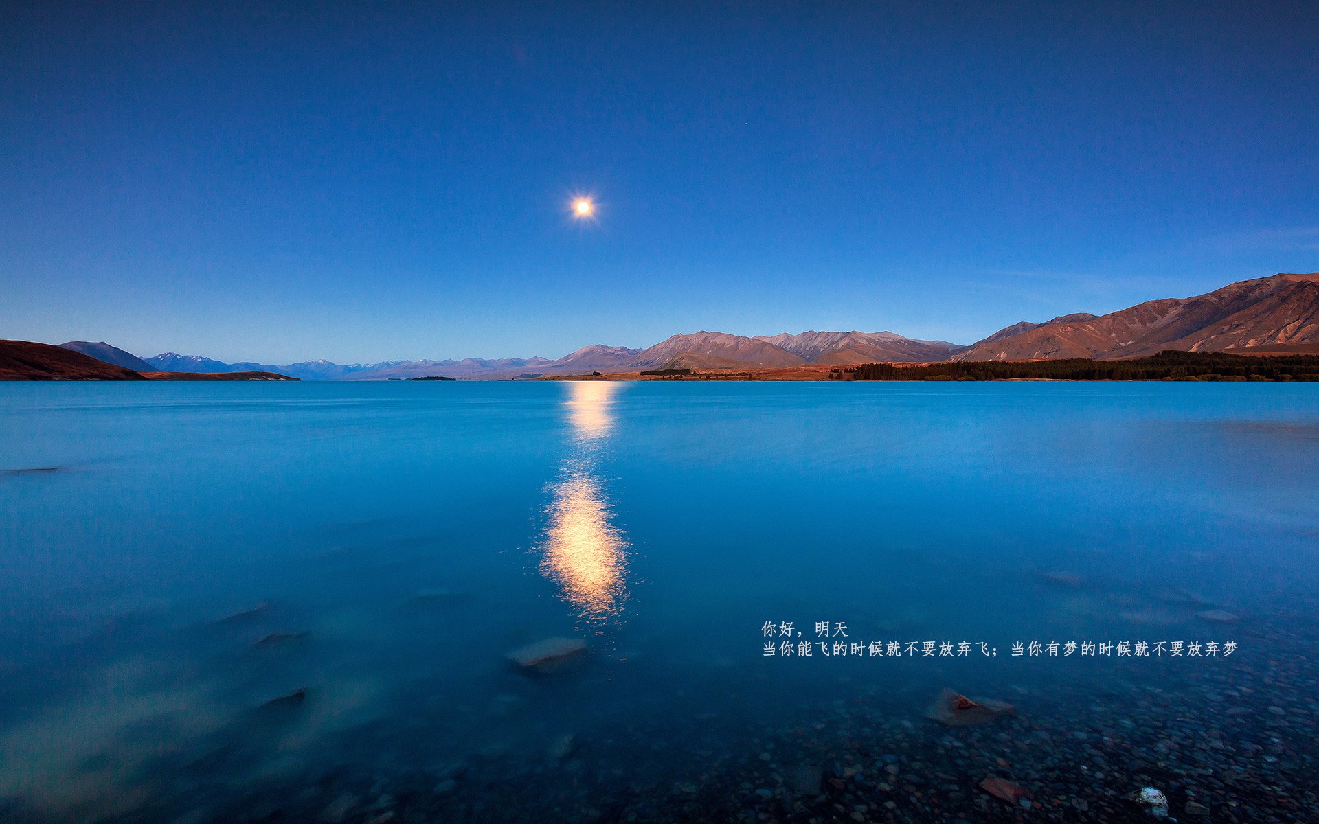 运动员心理健康维护机制，运动员的心理健康