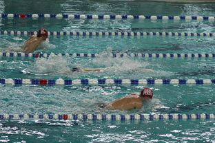 爱游戏在线登录入口-“世界游泳锦标赛：2025新加坡赛场泳池掀起速度与优雅的碰撞”