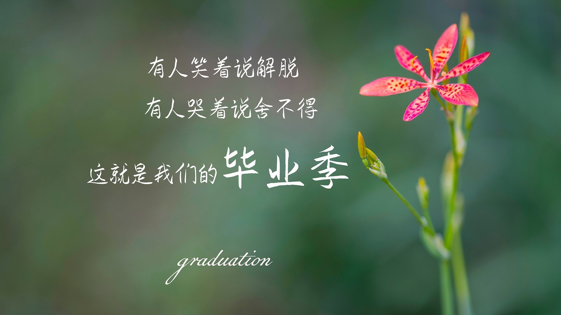 麦基翁蝉联仰泳三项冠军，麦基翁拿了几块金牌