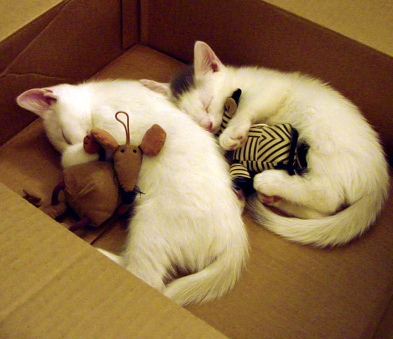 爱游戏-乔治火力全开快船继续刷新纪录，乔治 快船