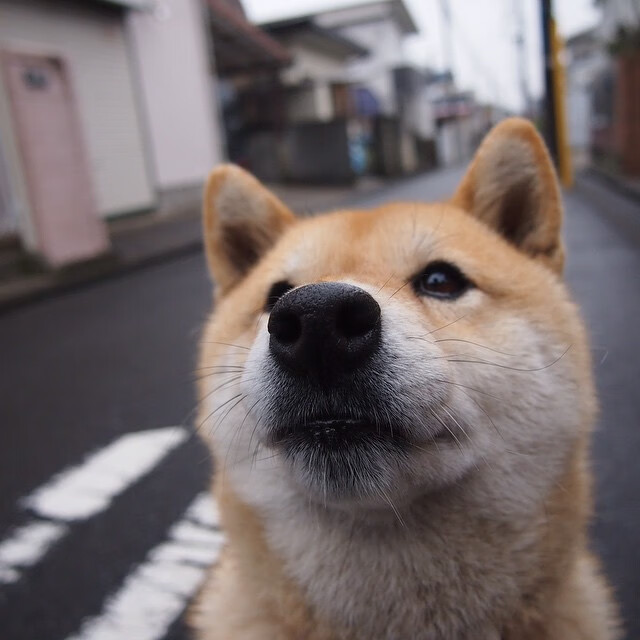 李恩：全黑队中场核心，用精准传球和出色防守统治比赛，李恩采访视频