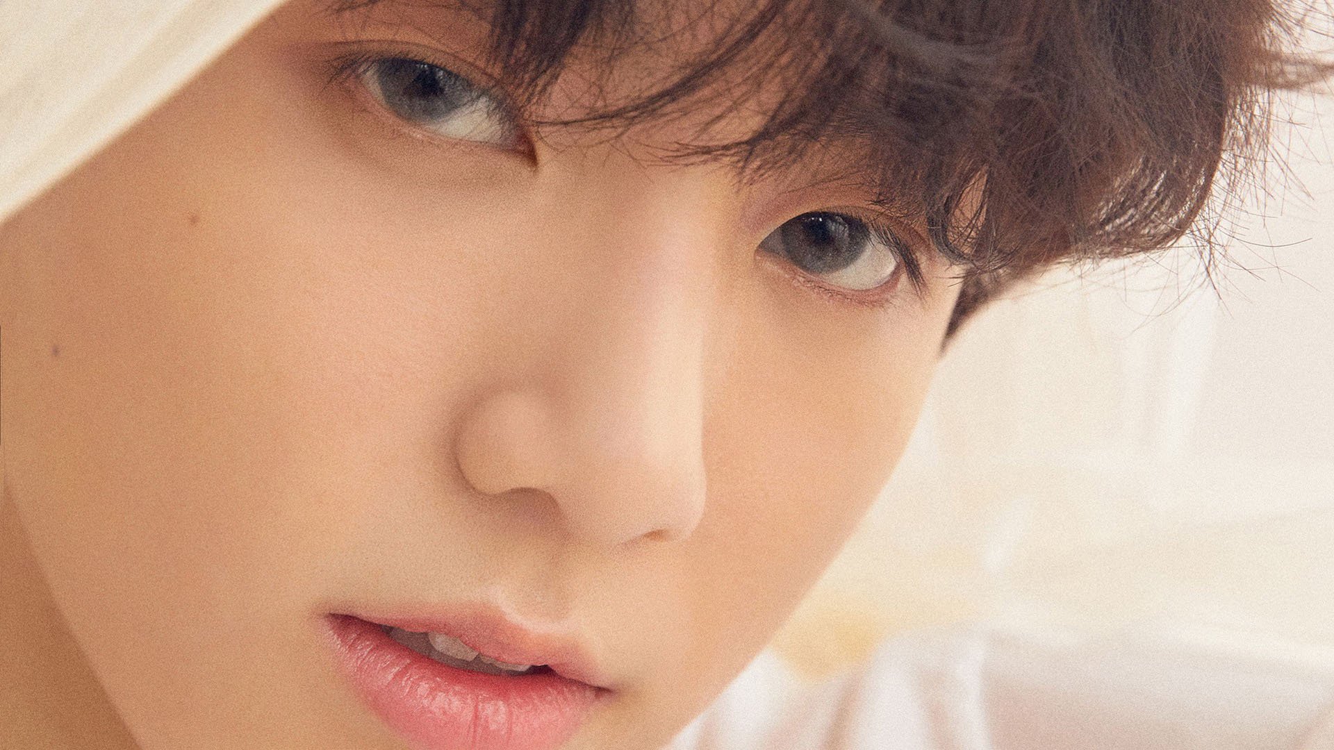 AYX GAME-波兰男篮在欧洲锦标赛中夺冠，夺得历史性第一金