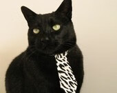 足球校园联赛扩大覆盖范围至全国，全国校园足球联赛大学组