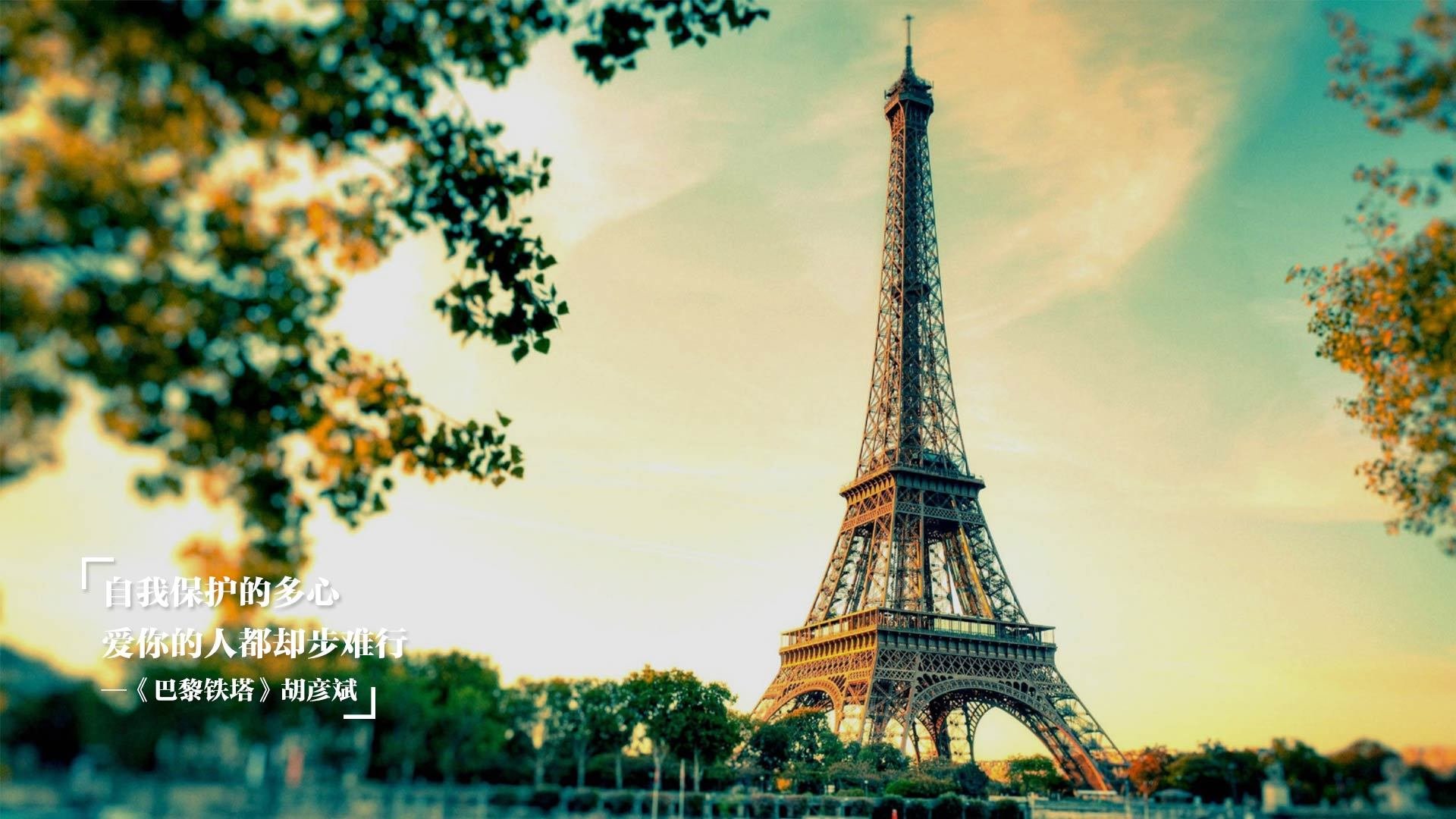 青训中心建立球员成长档案系统便于长期观察,青训队足球