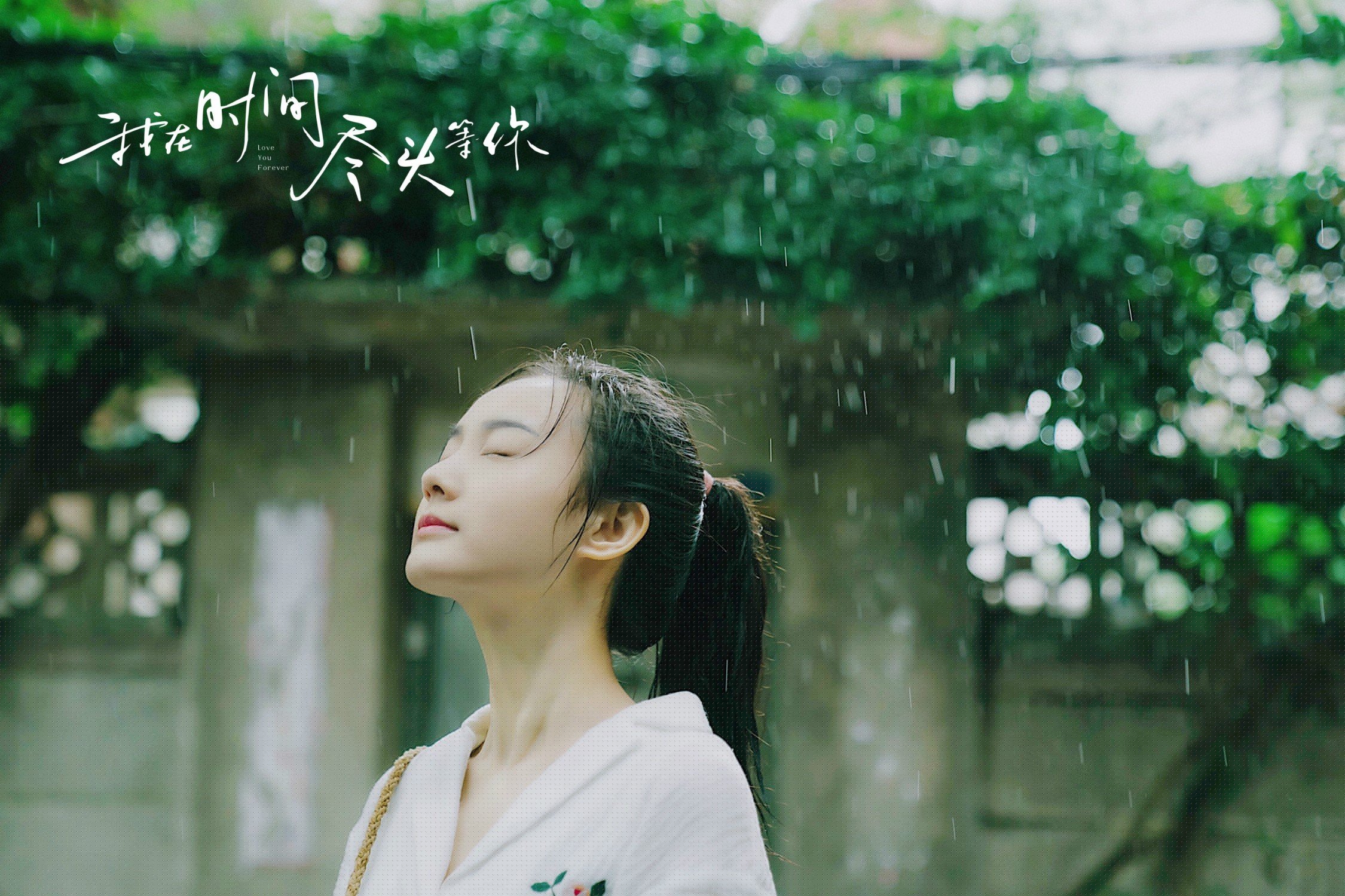 CBA球队主场迁移引发地方球迷情绪波动，cba球队主场城市