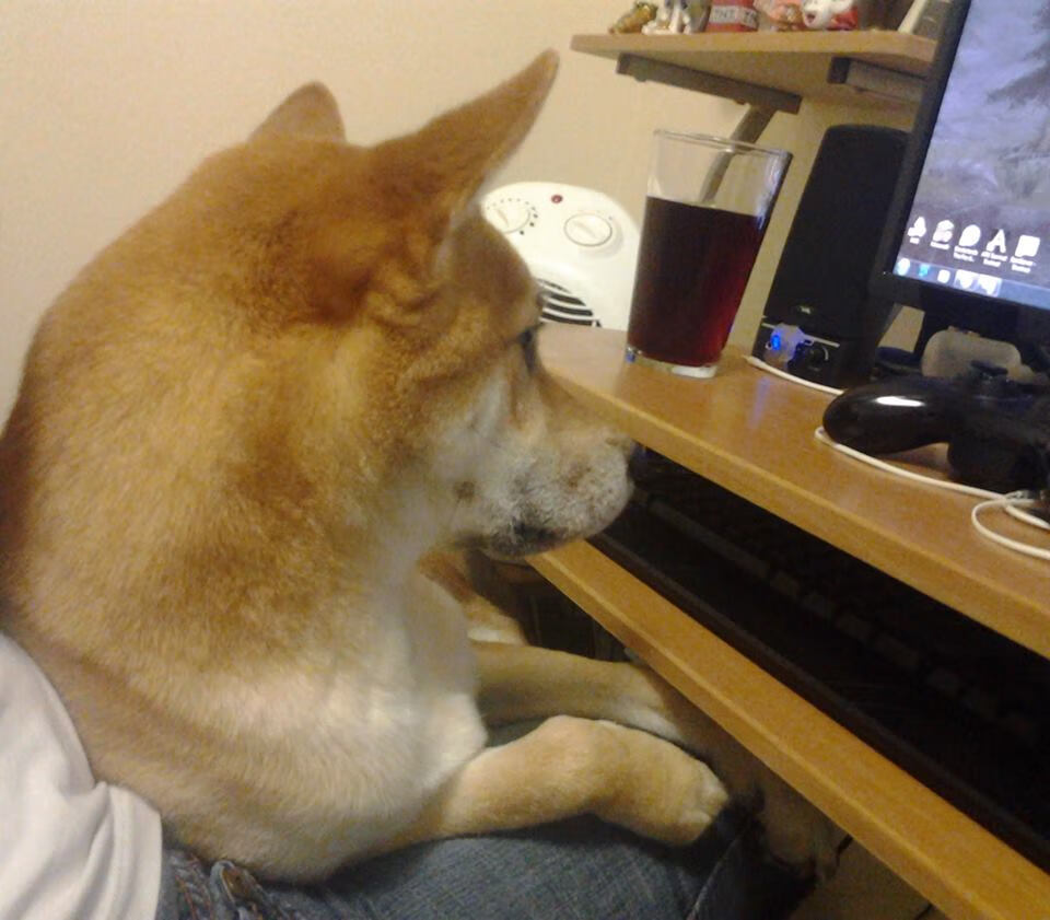 五大联赛射门转化率排名体现锋线效率，射门转化率最高的球员